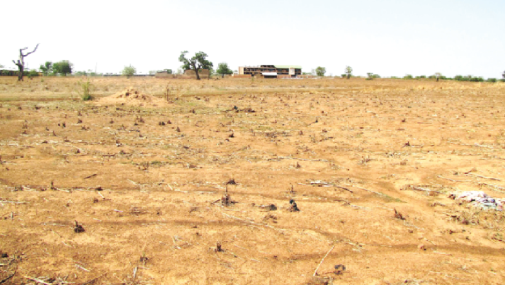 The northern sector of the country has large arrable land that is mostly untapped  